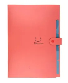 teczki-do-organizacji-a4-beniamin-6szt