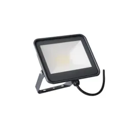 naswietlacz-led-iq-led-fl-20w-nw-kanlux