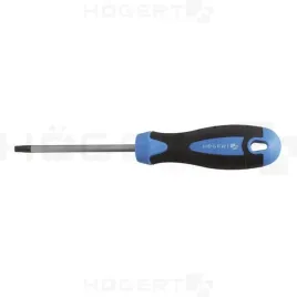 wkretak-torx-t15x100-mm-ht1s054-hogert