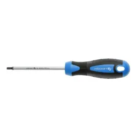 wkretak-torx-t25x100-mm-ht1s056-hogert