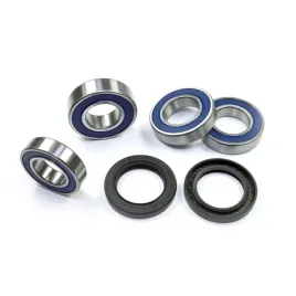 all-balls-25-1563-lozyska-kola-tyl-honda-cbr-600-rr-07-18
