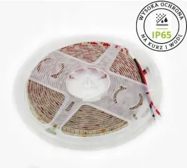 divole-tasma-led-600smd-2835-24v-6000k-zimna-rolka-5m-wysoka-ochrona-ip65