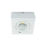 oprawa-downlight-igor-led-d-9w-4000k-struhm