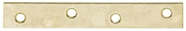 lacznik-plaski-ocynk-100x15-mm-alberts