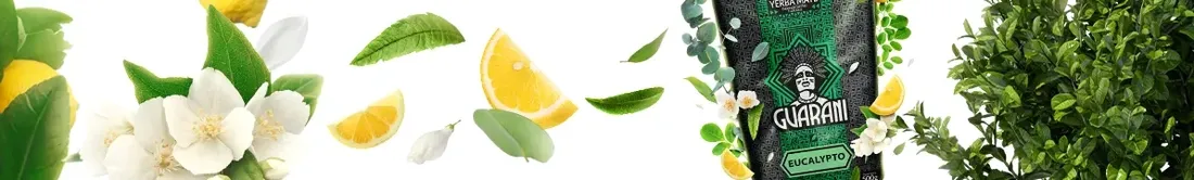 guarani-eucalypto-50-g