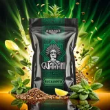 guarani-eucalypto-05-kg