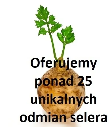902-seler-naciowy-malachit-odmiana-inna