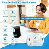 przelacznik-wifi-smart-mini-ewelink-timer-10a-rodzaj-sterownik