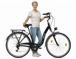 rower-dallas-city-alu-28-7spd-ge