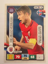 2018-panini-road-to-world-cup-russia-skjelberd-norwegia-nor-10