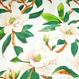 bawelna-100percent-kwiaty-magnolie-na-bialym-tle-220cm