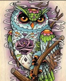 malowanie-po-numerach-ramka-obrazy-do-malowania-sowa-z-kwiatami-50x40cm