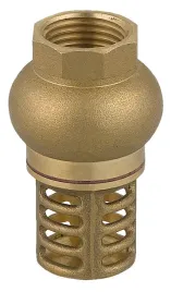 zawor-zwrotny-z-mosieznym-koszem-ssacym-1-1-2