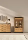 urso-05-witryna-2d-kolor-mebla-dab-craft-zloty-czarny