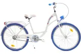 rower-dallas-city-26-1spd