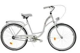 rower-dallas-city-26-1spd