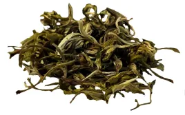 white-fujian-peony-herbata-biala-rarytas-15-g-od-skworcu