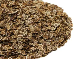 nasiona-na-kielki-koper-ogrodowy-50-g-skworcu