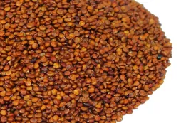 komosa-ryzowa-czerwona-az-100g-od-skworcu-sa