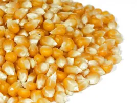 popcorn-1-kg-kukurydza-do-prazenia-duza-paka