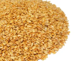 zloty-len-1kg-nasiona-duza-paka-od-skworcu