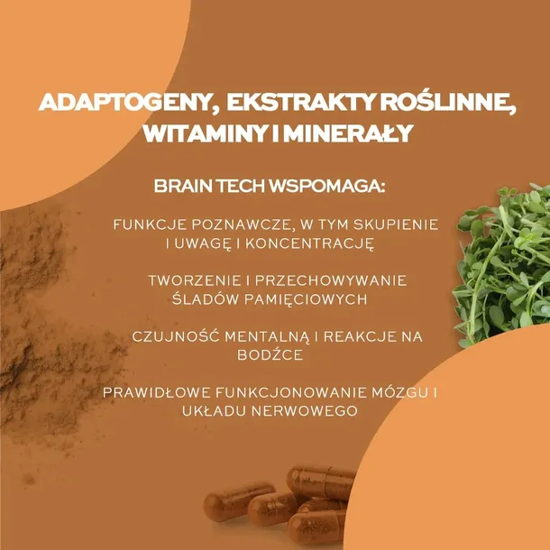 solvelabs-brain-tech-30-kapsulek-marka-solve-labs