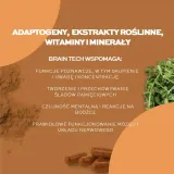 solvelabs-brain-tech-30-kapsulek-marka-solve-labs