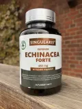 singularis-echinacea-forte-450-mg-60-kapsulek-postac-kapsulki