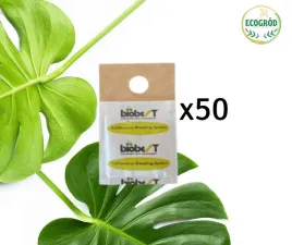 Zdjęcie produktu DOBROCZYNEK KALIFORNIJSKI NA PRZĘDZIORKI 50 SASZETEK BIO ZESTAW
