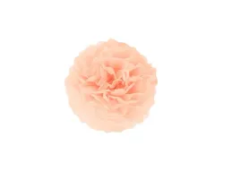 dekoracja-wiszaca-pompon-kwiat-brzoskwiniowy-15-cm-1-szt