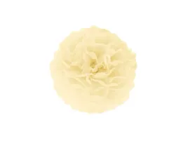 dekoracja-wiszaca-pompon-kwiat-kremowy-25-cm-1-szt