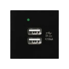 port-modulowy-z-ladowarka-2xusb-or-gm-9010-b-usbx2
