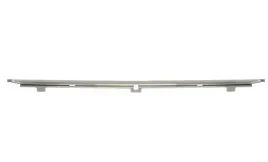 listwa-mocowania-tablicy-rejestracyjnej-przod-srodek-chrom-bmw-5-e39