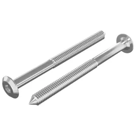 sruby-meblowe-2-szt-srebrny-m6-x-70-mm-stal