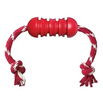 kong-dental-l