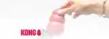 kong-dental-l-stan-nowy