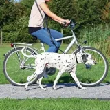 smycz-do-joggingu-1-2m-25cm-cechy-dodatkowe-z-amortyzacja