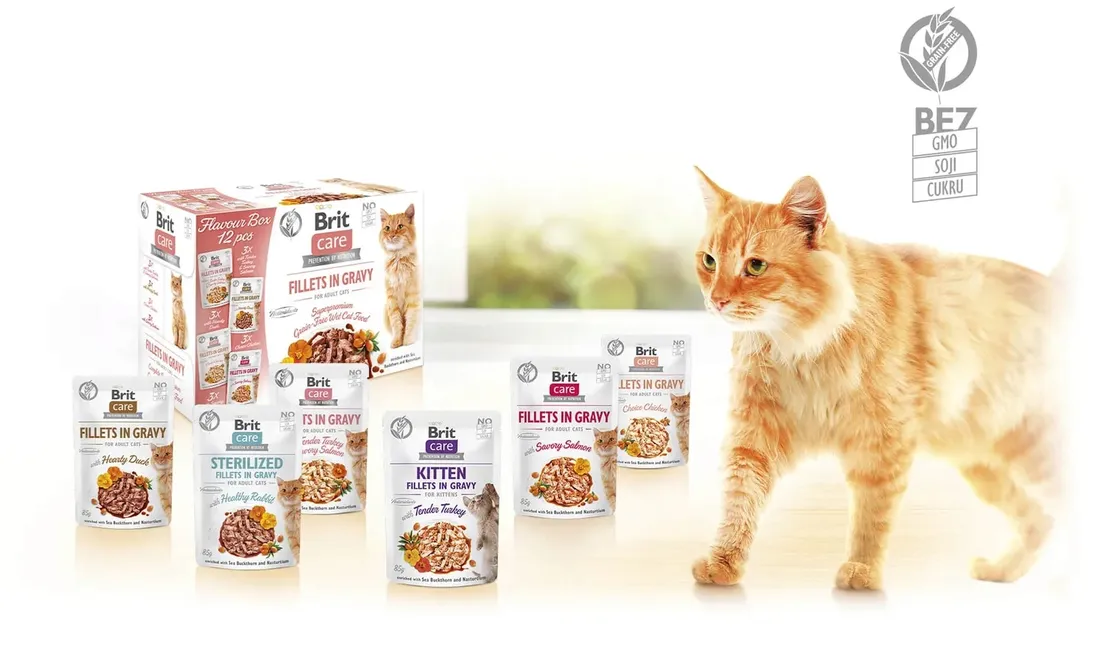 brit-care-cat-indyk-losos-85g