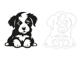 pies-border-collie-naklejka-na-samochod-na-auto-kolor
