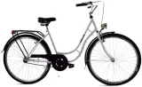 rower-dallas-retro-28-1spd