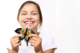 origami-3d-motyl-alex-plec-chlopcy-dziewczynki