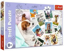 puzzle-300-zdjecia-z-wakacji-trefl-23003