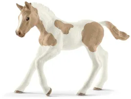 zrebie-rasy-paint-foal