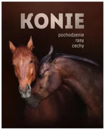 konie-pochodzenie-rasy-cechy