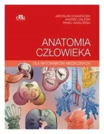 anatomia-czlowieka-dla-ratownikow-medycznych