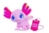 chi-chi-love-askolotl