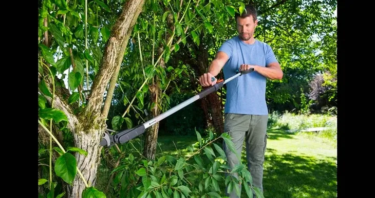 nozyce-do-galezi-slimcut-stan-nowy-kod-produktu-6847