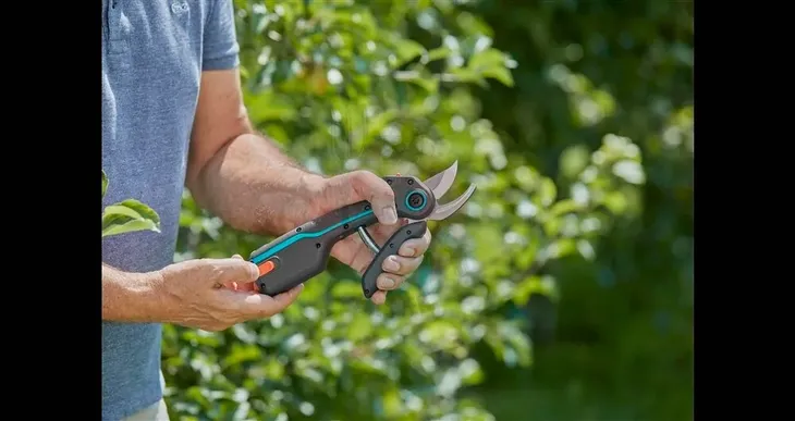 sekator-assistcut-kod-produktu-6499-stan-nowy