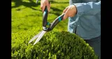nozyce-do-zywoplotu-precisioncut-kod-producenta-15101-32