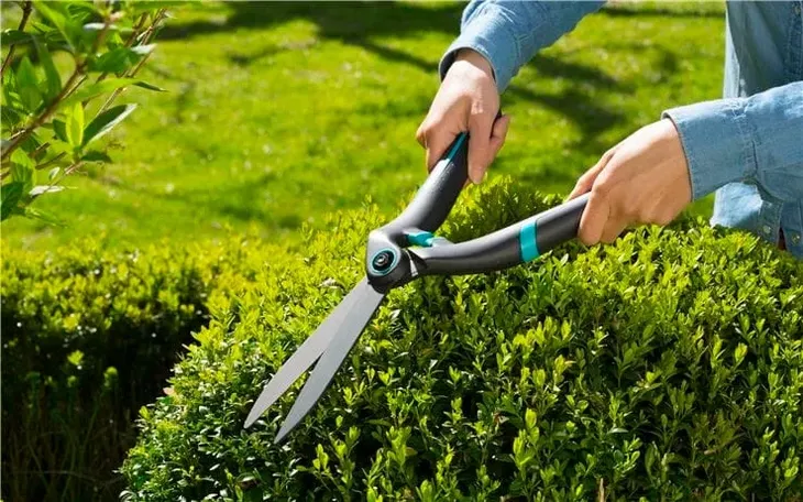 nozyce-do-zywoplotu-precisioncut-kod-producenta-15101-32-kod-produktu-6852